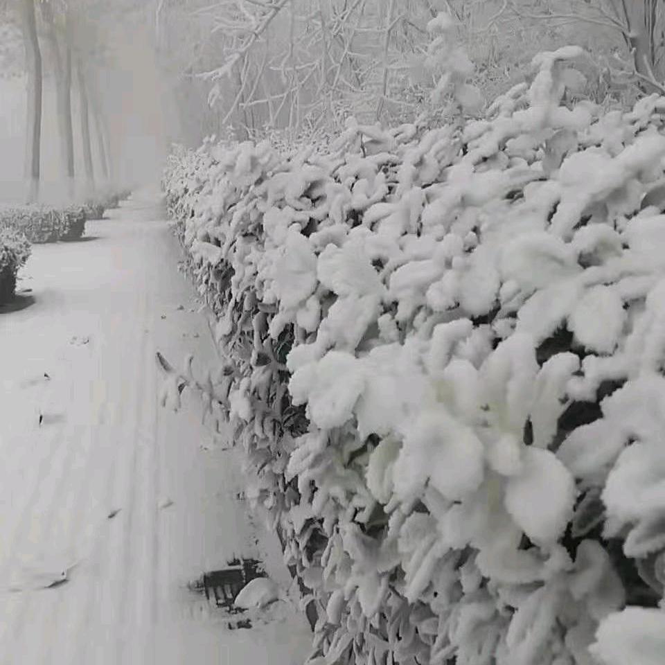 *****
