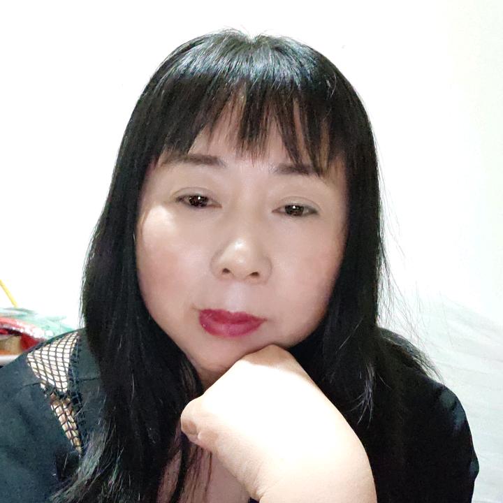 蓝天飞燕
