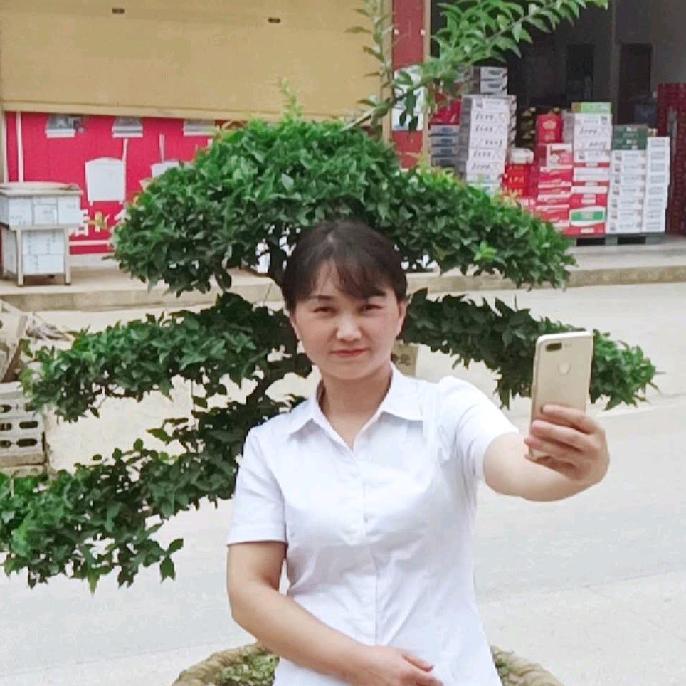 木子慧