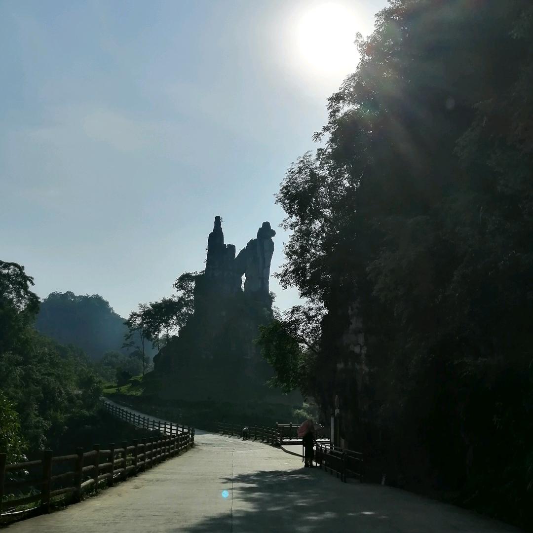 寅虎的雅名山君