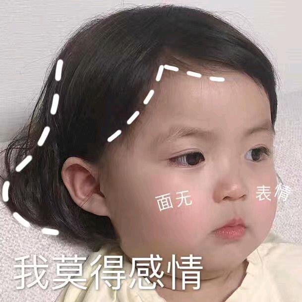 小卢日记本 ✨