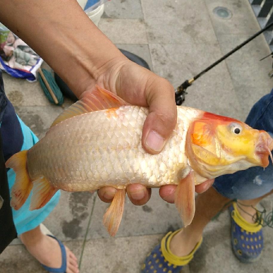 3号—不再期待了