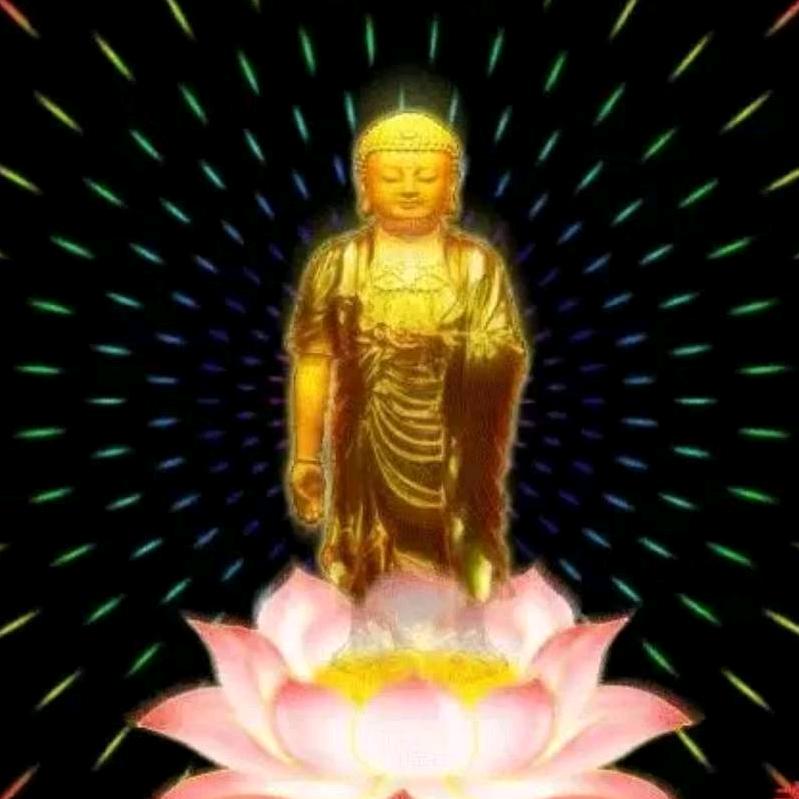 权
