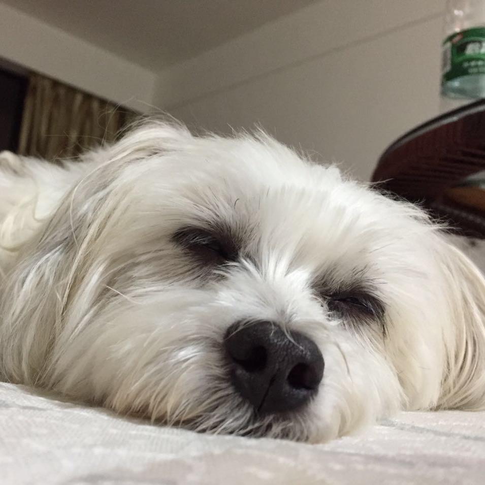 无敌幸运星不是一般神儿