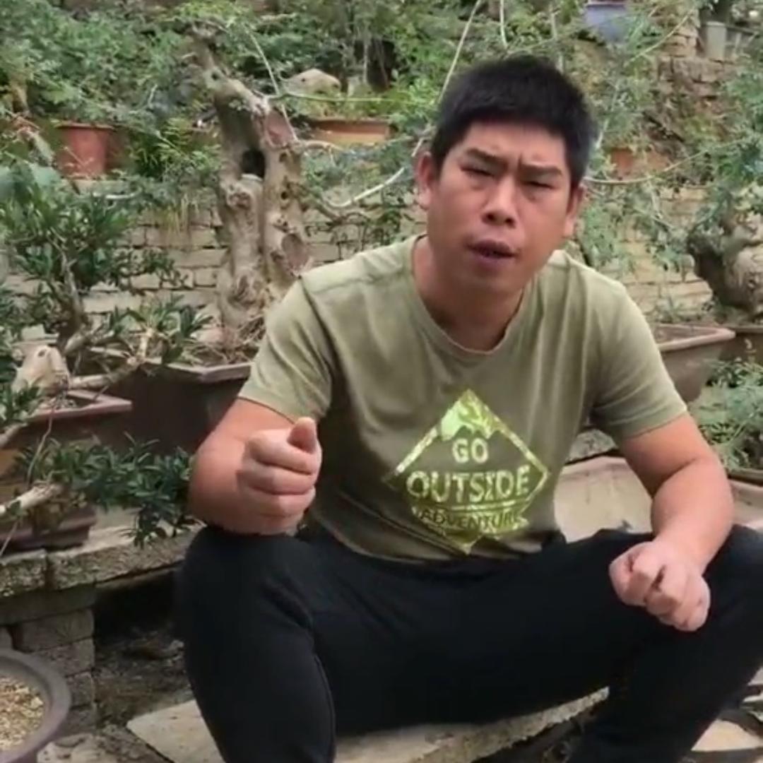 老崔盆景日记