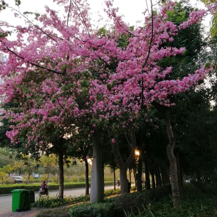 1001个小美好～