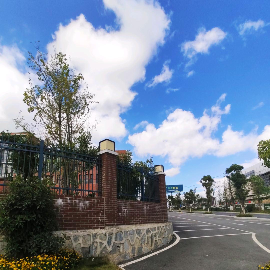 财源广进