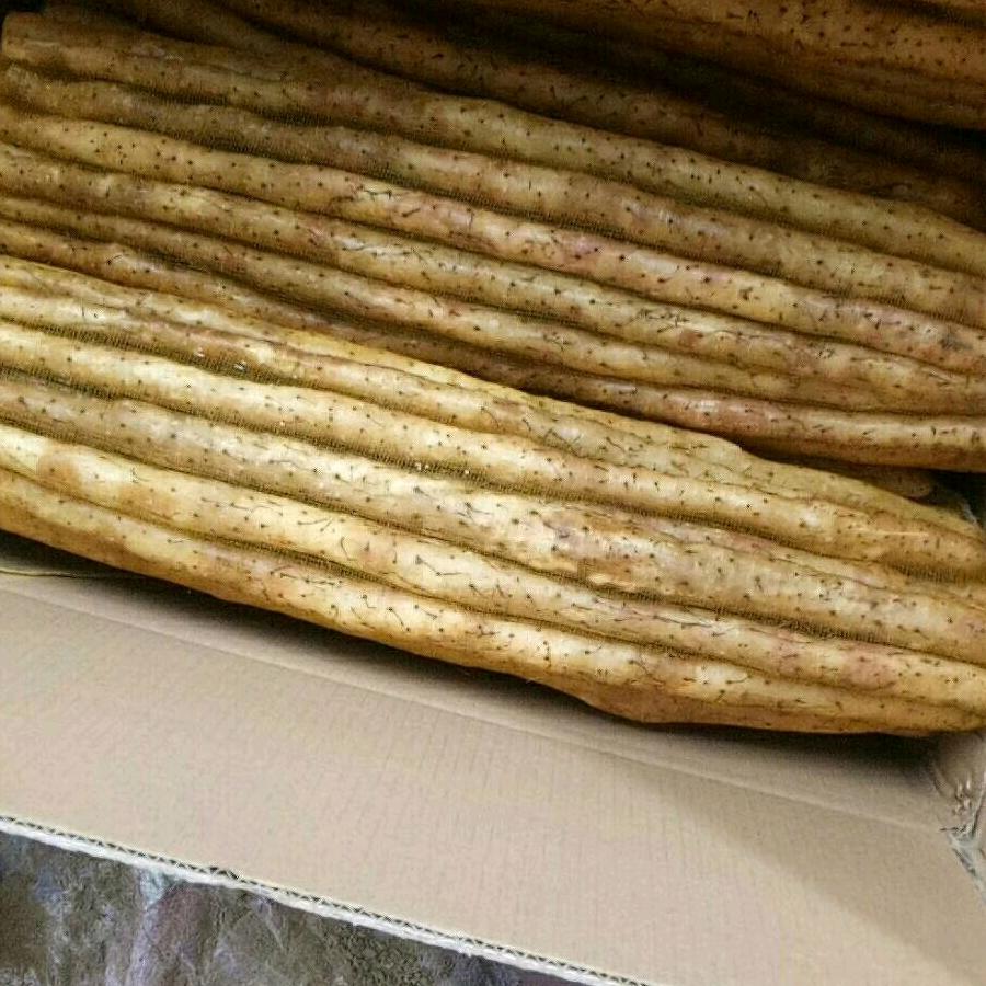 孙丹丹白山药批发市场