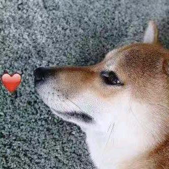 干豆腐卷大葱小哥哥