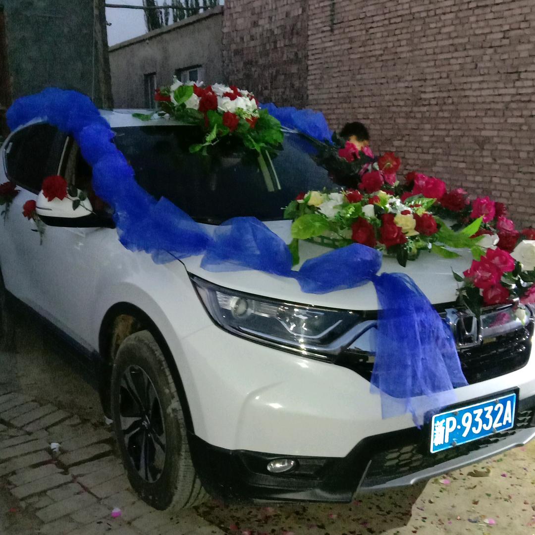 托热朴·9️⃣4️⃣6️⃣2️⃣