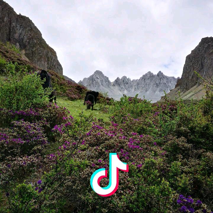 越努力越幸运237854742