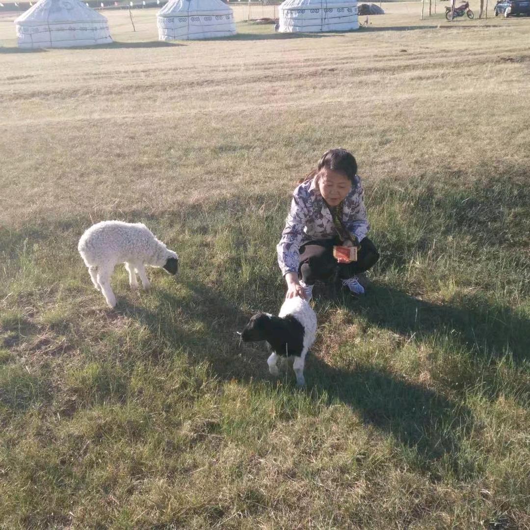 🌈平淡是福🐶