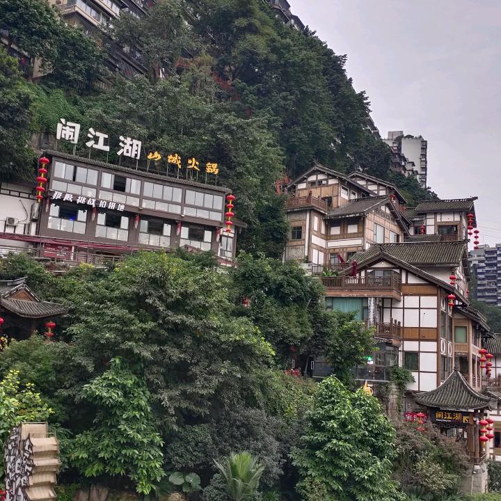 项珊