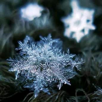 霜花❄️🌸
