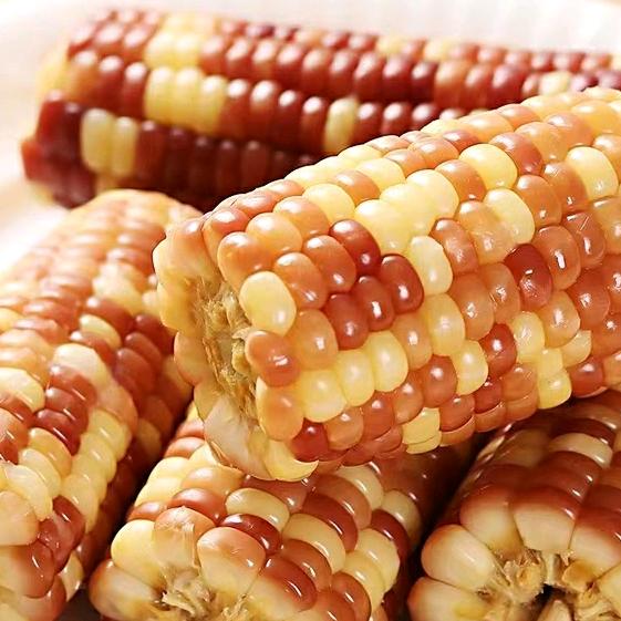 食品塑料包装小禾商贸