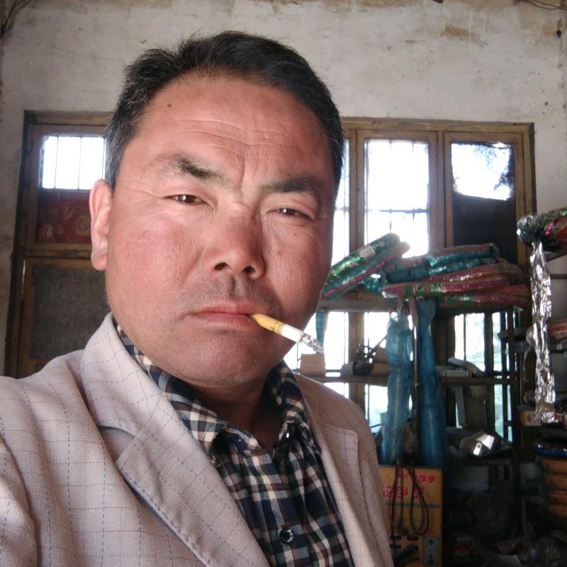 爱拼财源来（冯哥）