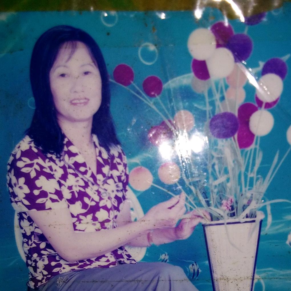 一生幸福🌻🌻🌻🌻🌺🌺