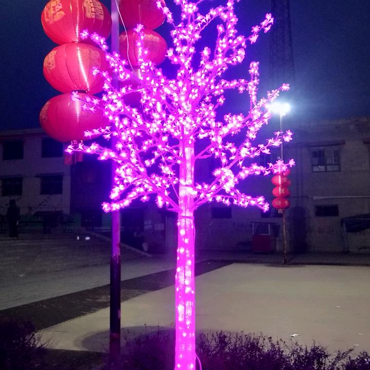朴素人生