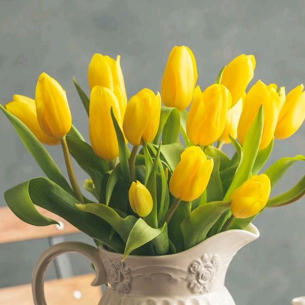 遇见你是我的缘