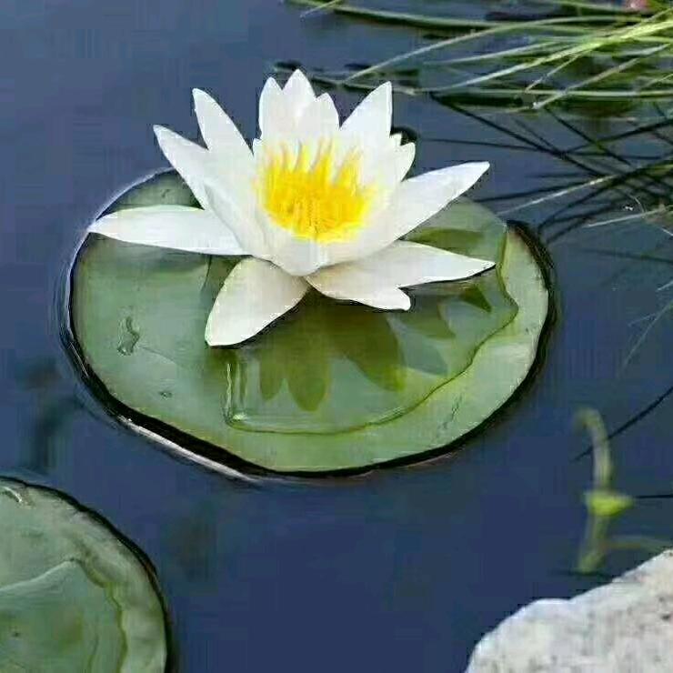 北屯市艺鑫广告有限公司