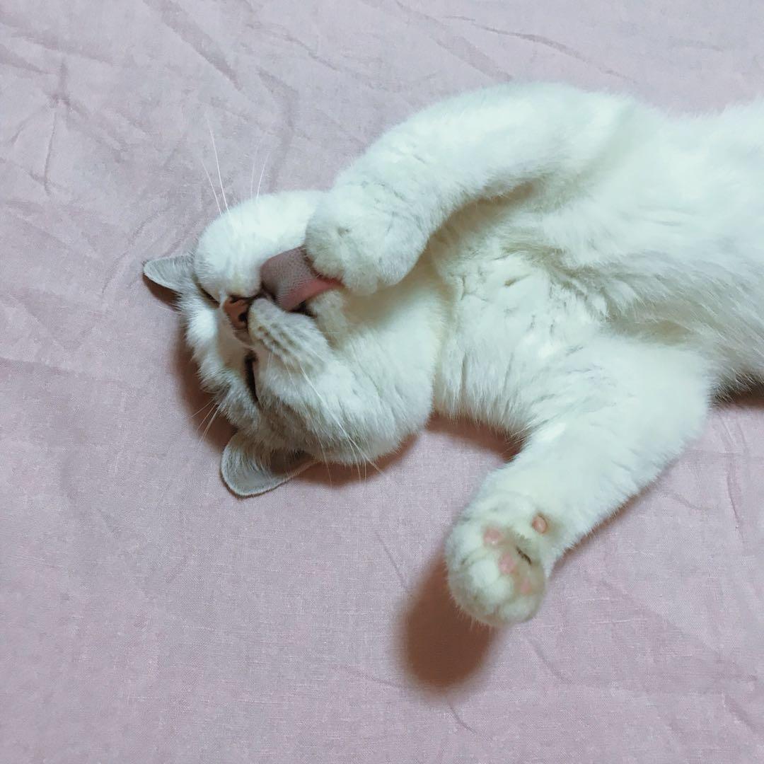 攀攀&大头 治愈心情