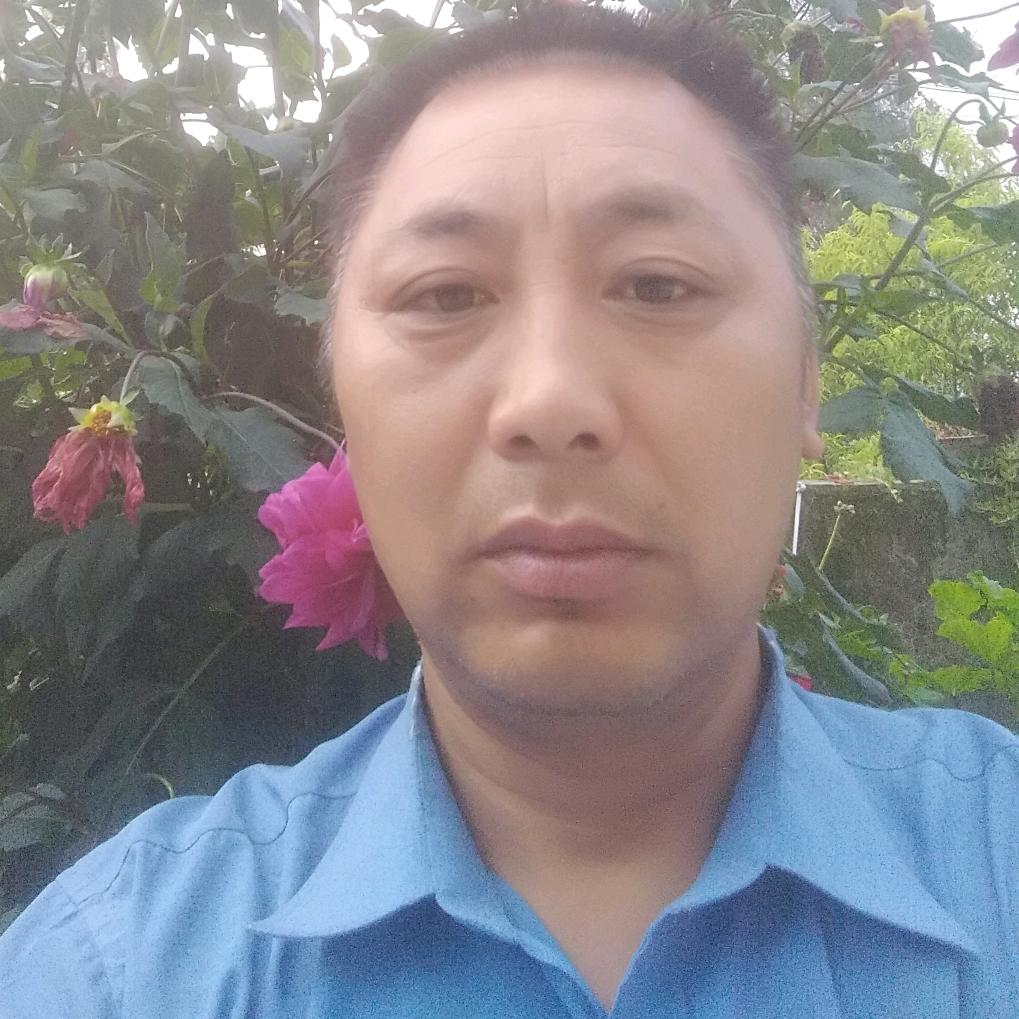 梅花三弄