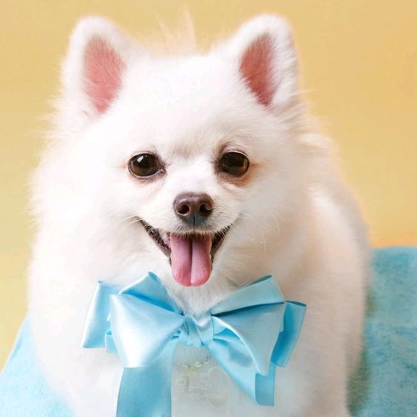 鹰潭市月湖区亮丽服装店