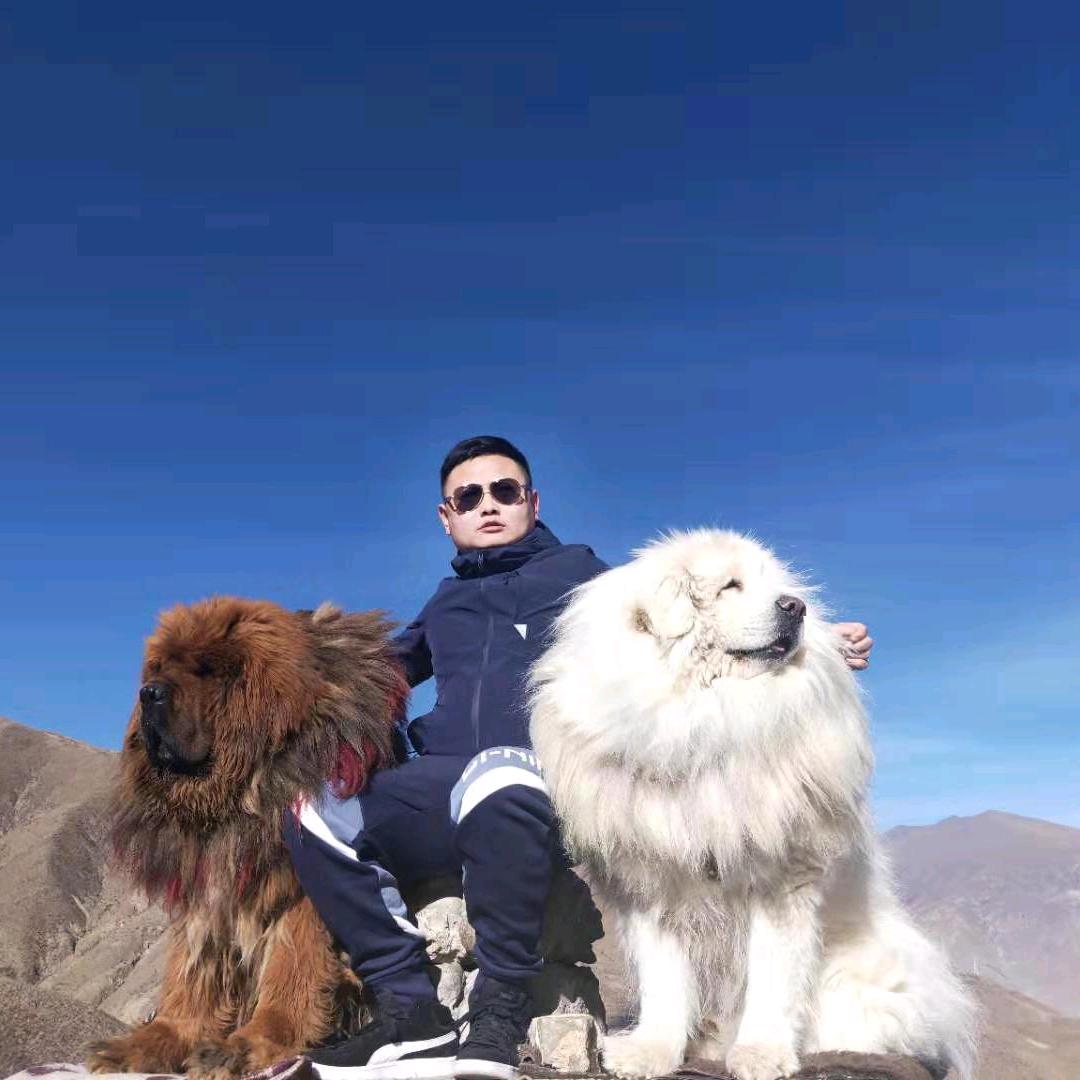 二手思想家