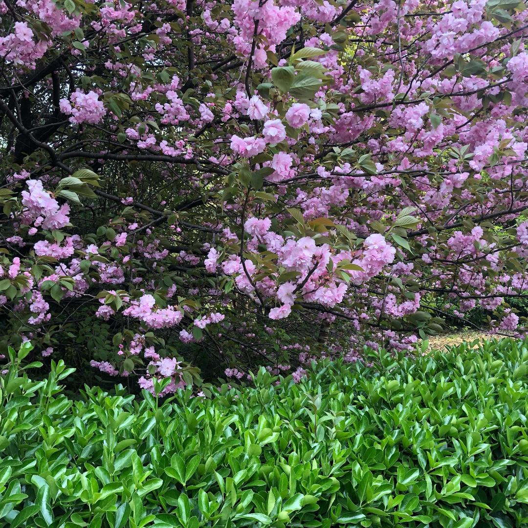 走进咖啡屋（张）