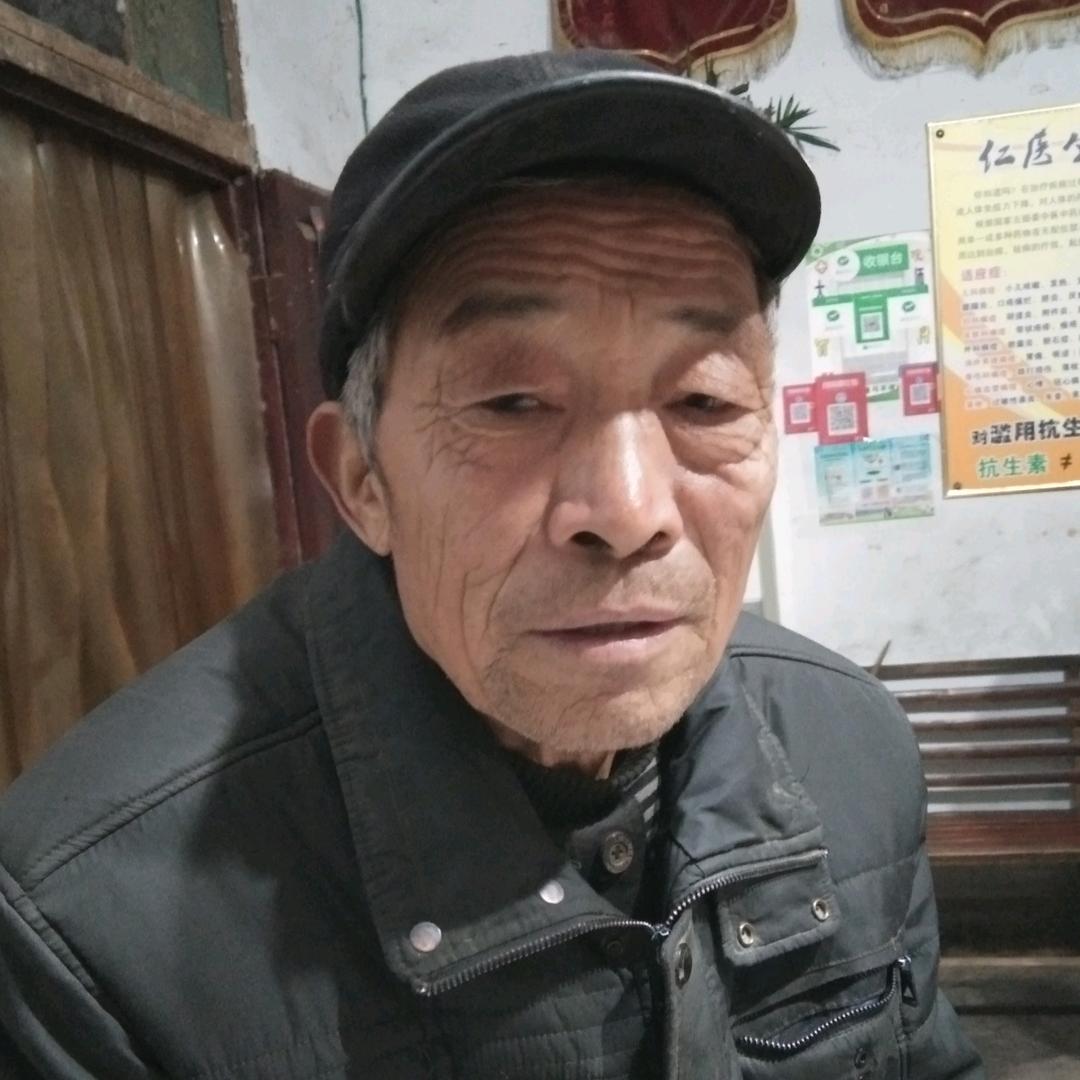 豫剧板胡谢付敏