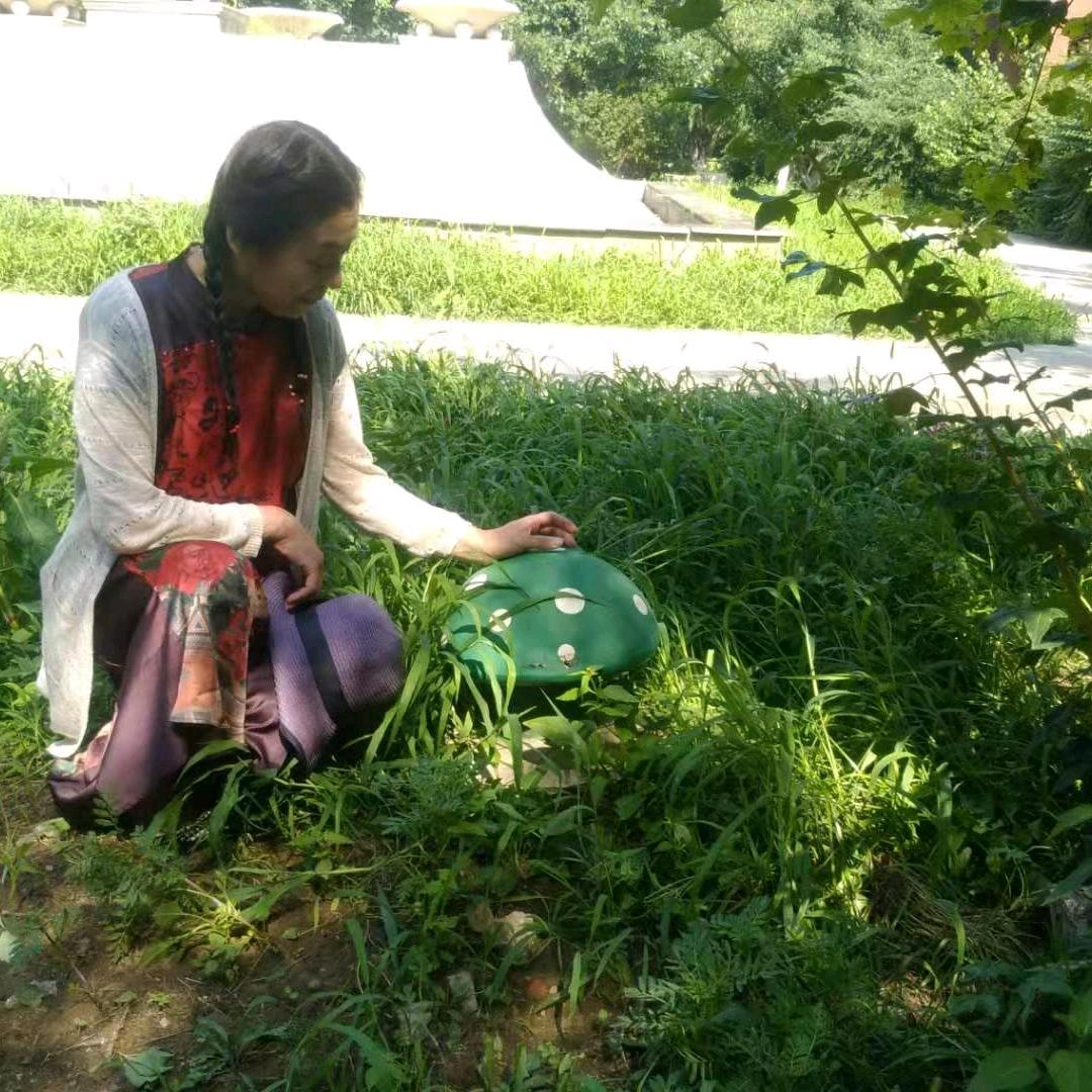 一抹红