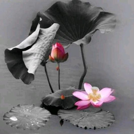 唐卡 皮嘎乌 擦擦