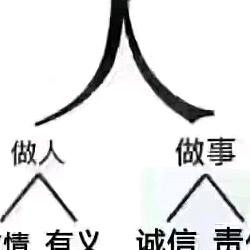 阳光总在风雨后