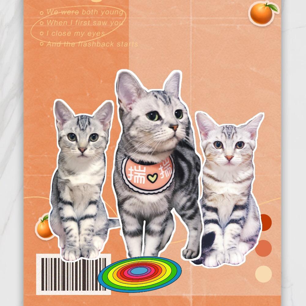 ✨ 弯弯゛旳眼ヾ