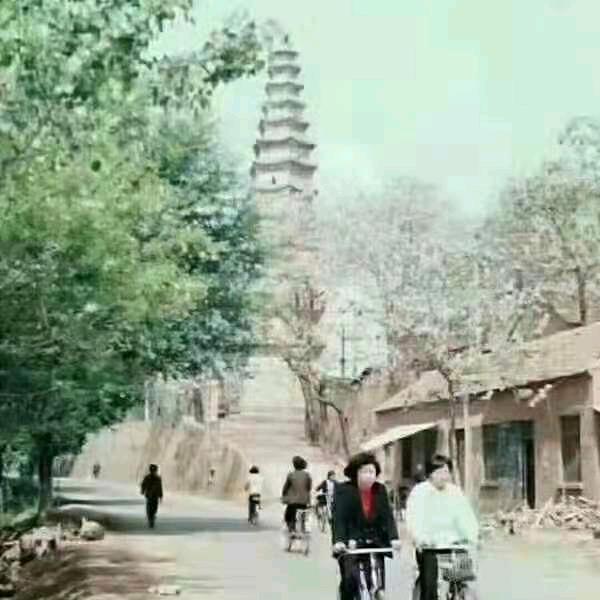 扶风世家