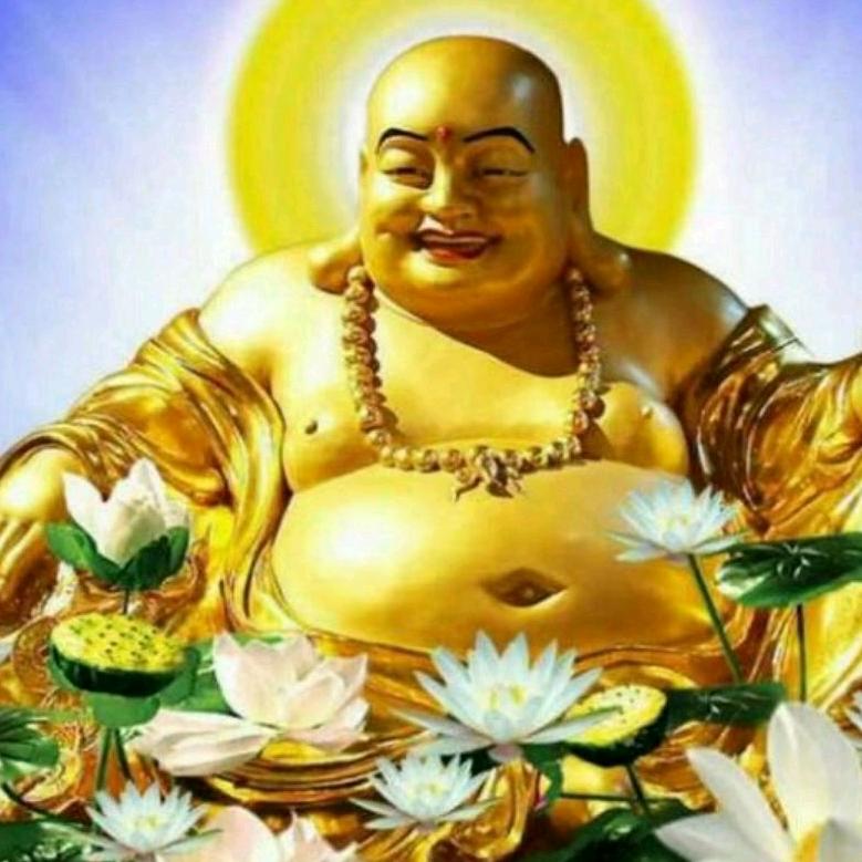 招财进宝丶财源滚滚来