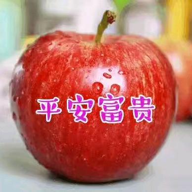 文成