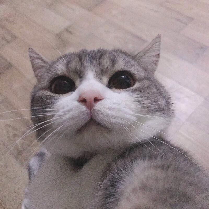 西红柿土码头