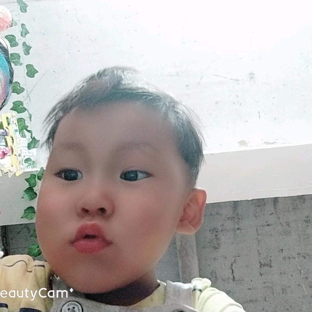 刘