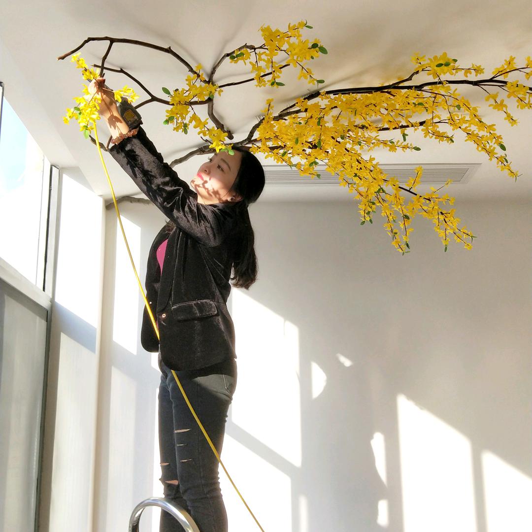 武隆区梁婆婆豆干