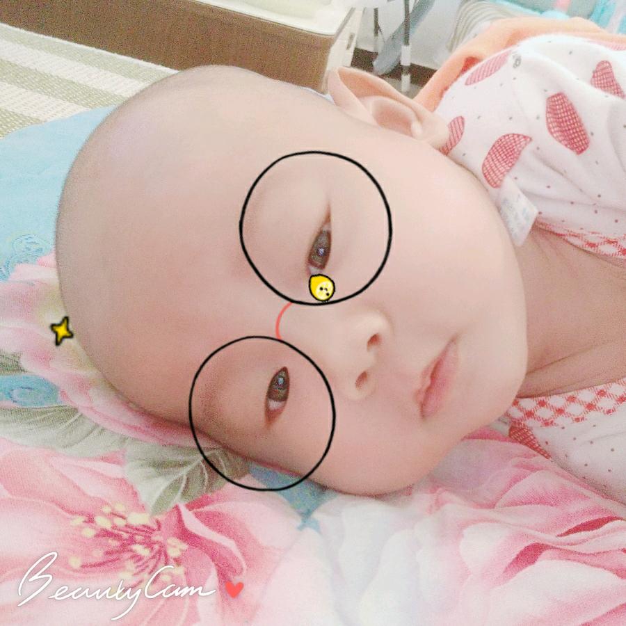 言出必行