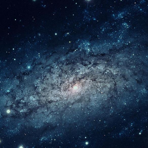 奔跑的蚂蚁🐜🐜🐜🐜🐜🐜🐜