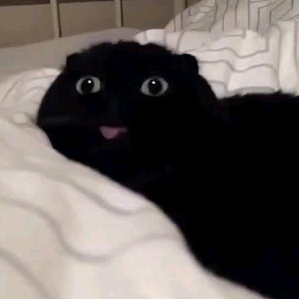 大花瓣的胡萝北