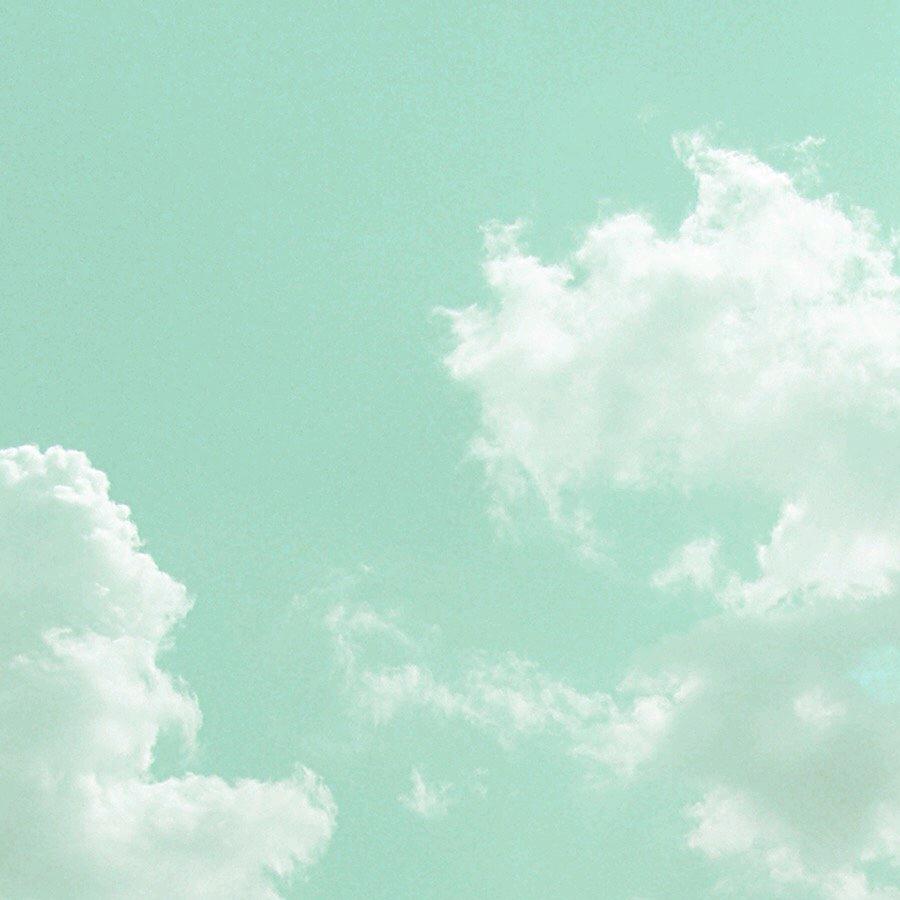 苹果茉莉绿┘♪