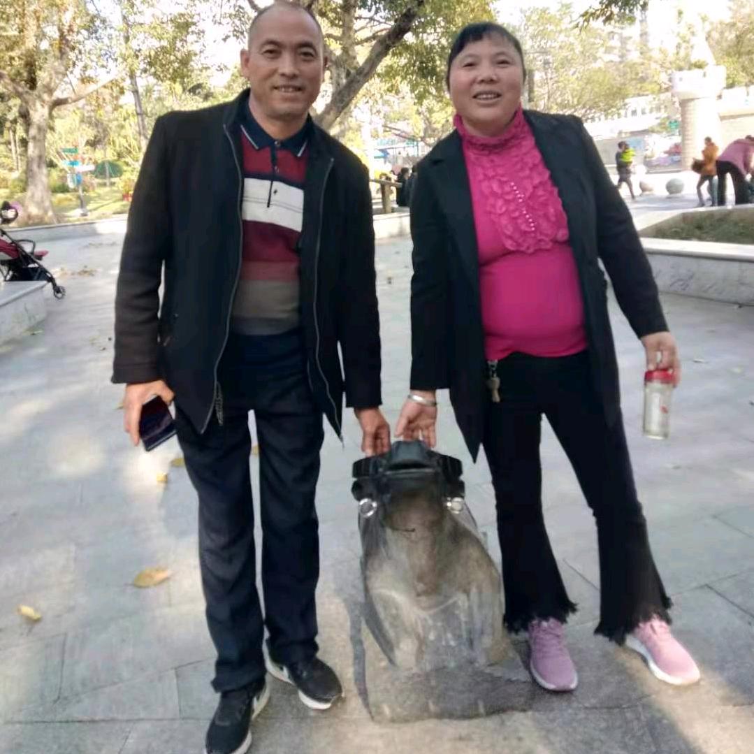 牛肉批发