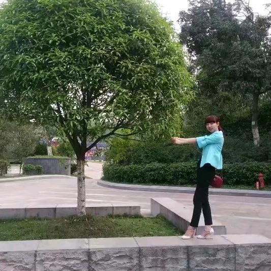 听见下雨的声音