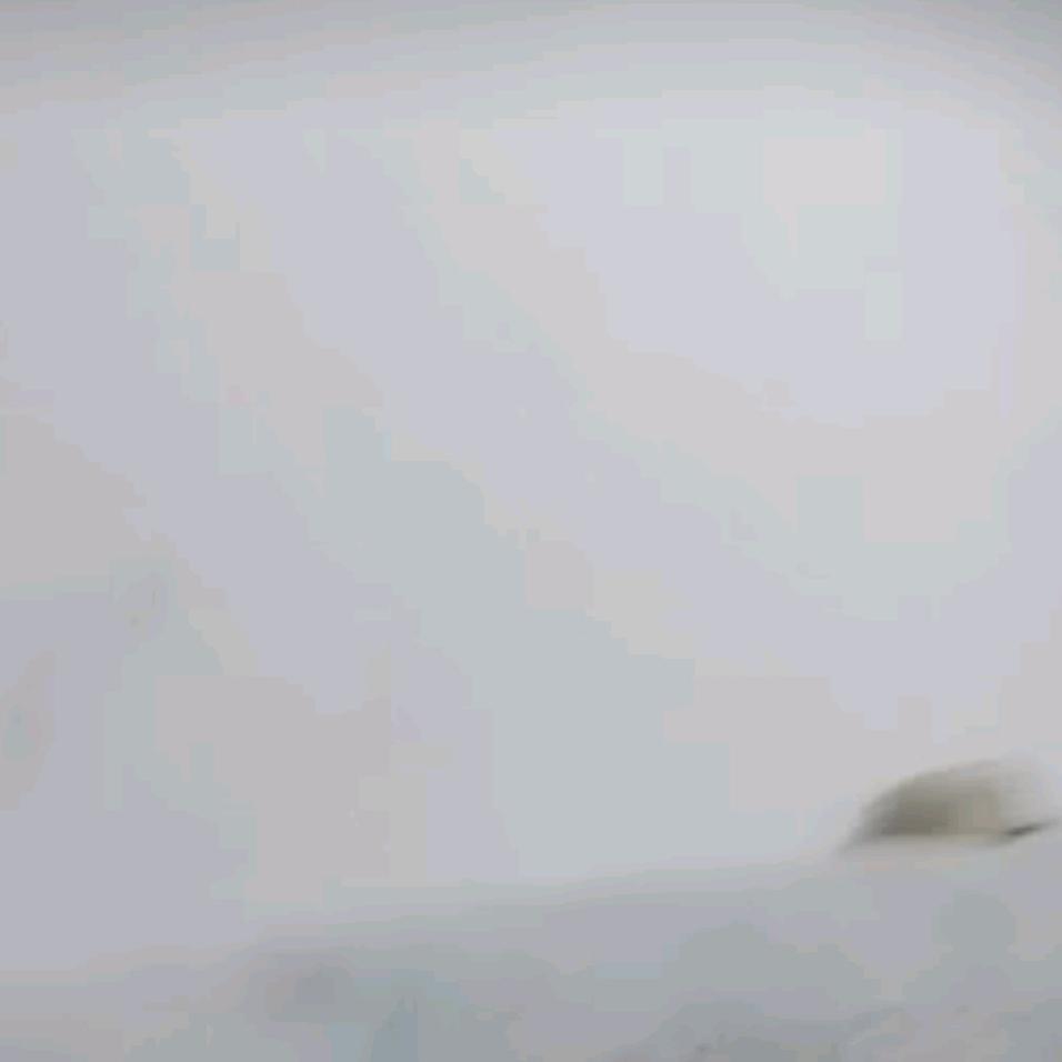 善良