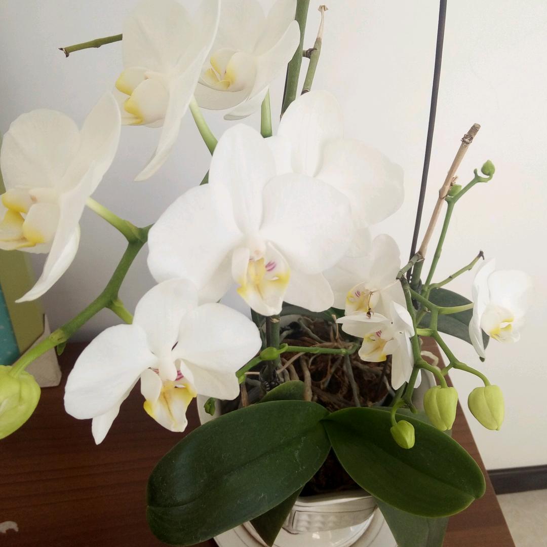 丶倾灬落，