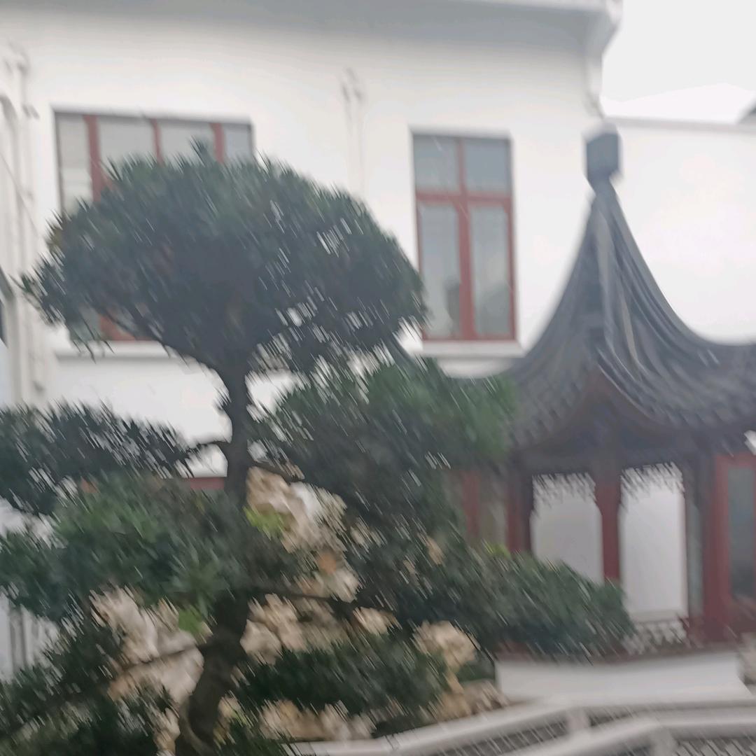 顺哥
