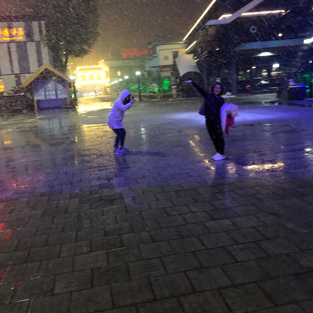 鱼儿